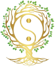 EBM Holistic Wellness logo